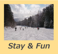Stay&Fun